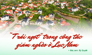 "Trái ngọt" trong công tác giảm nghèo ở Lục Nam